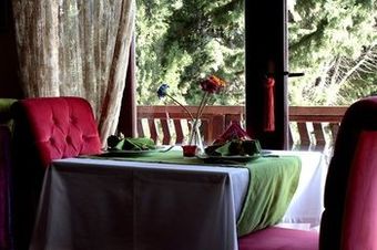 Hotel Villa Pine Garden