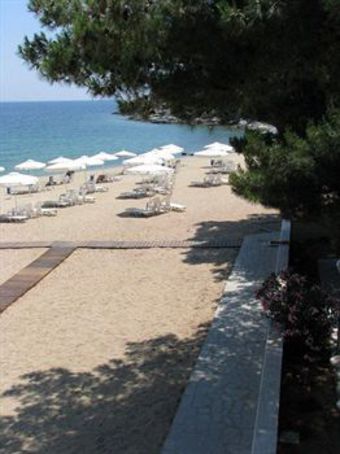 Hotel Tosca Beach Bungalows