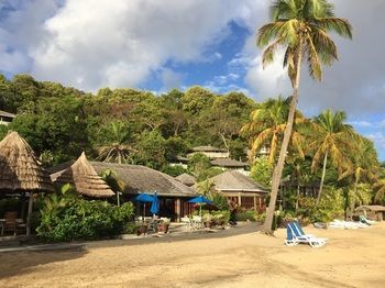 Apartamento Young Island Resort