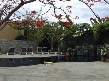 Villa Kokomo Botanical Resort
