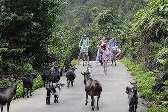 Gray Line Halong Cruise
