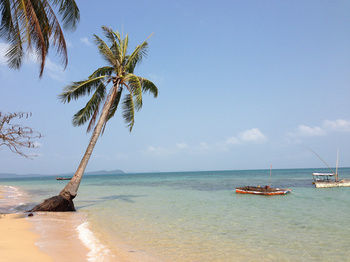 Hotel Peppercorn Beach