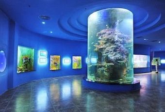 Hotel Vinpearl Villa Phu Quoc