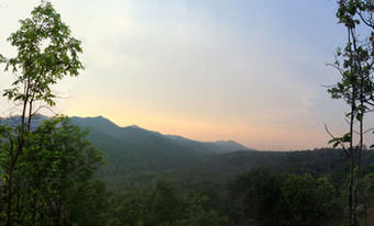 Hotel Rabeang Pasak Treehouse Resort