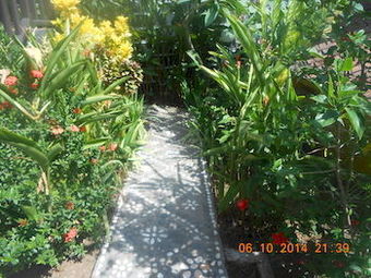 Hotel Titi Sedana Homestay
