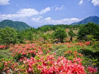 Hotel Kyukamura Kazawa-kogen