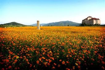 Apartamento Daemyung Resort Yangpyung