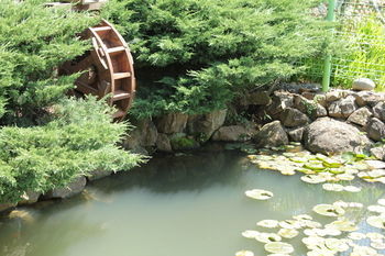 Hotel Beljari Pension