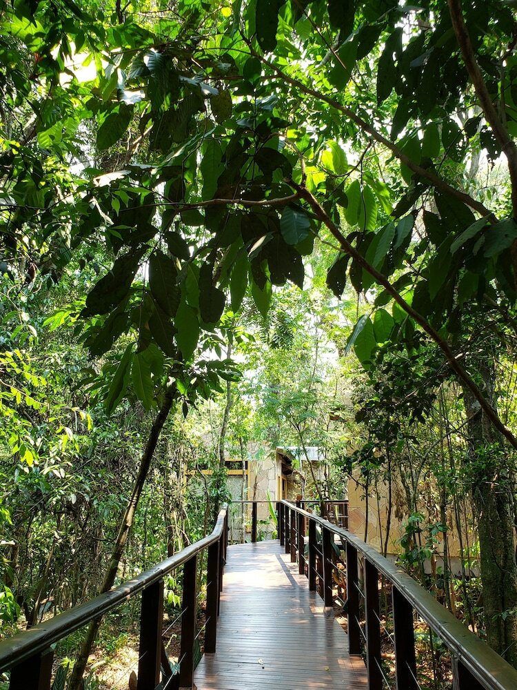 Posada Selva De Laurel