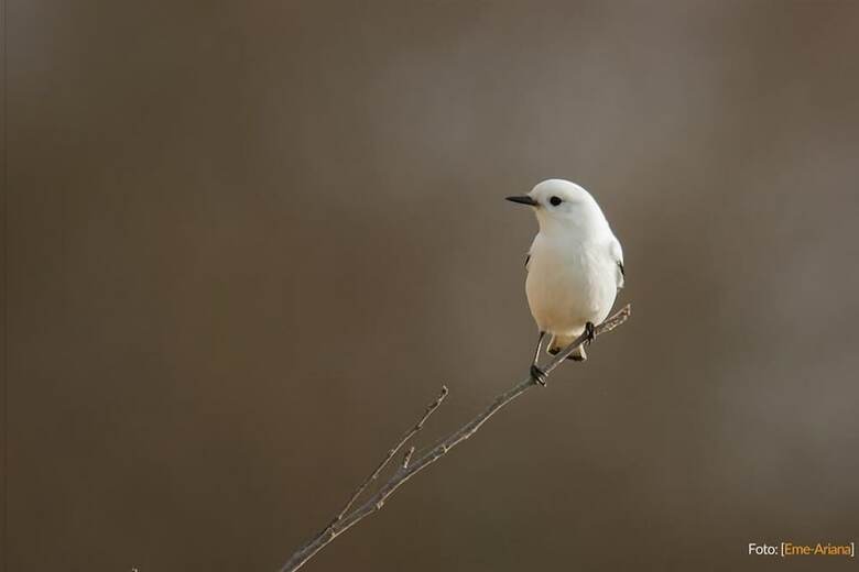 Posada Estancia R�o De Las Aves