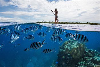 Hotel Bounty Island Resort