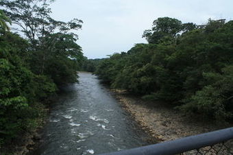 Posada Tirimbina Rainforest Lodge