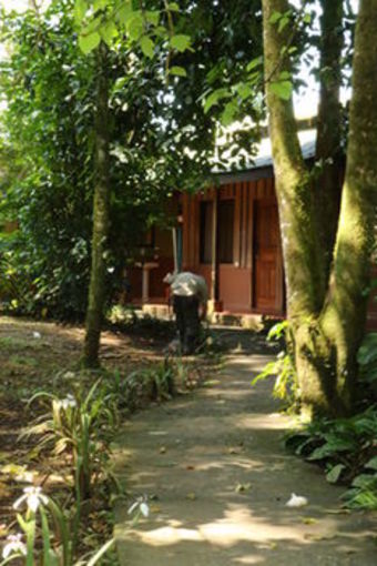 Posada Tirimbina Rainforest Lodge