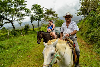 Hotel Termales Del Bosque