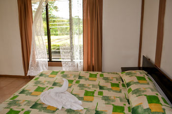 Hotel Termales Del Bosque