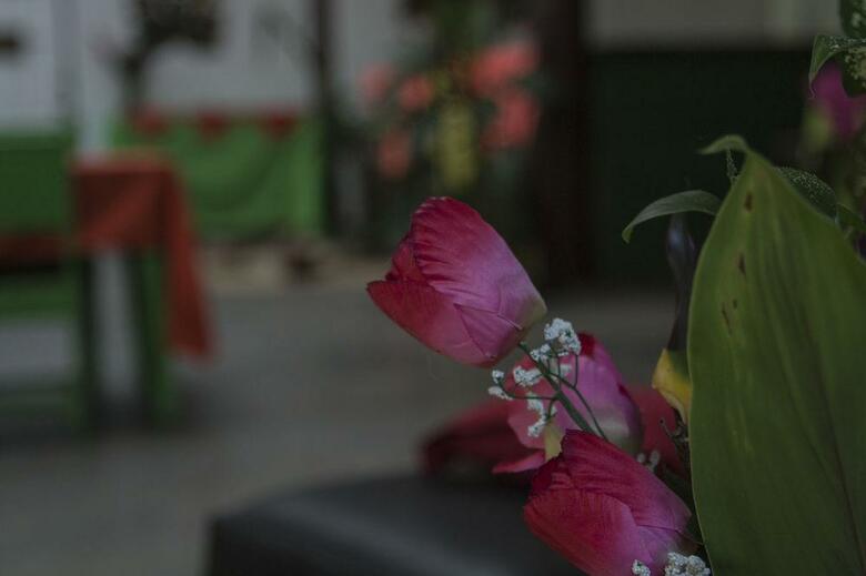Posada Caribbean Paradise Eco-lodge