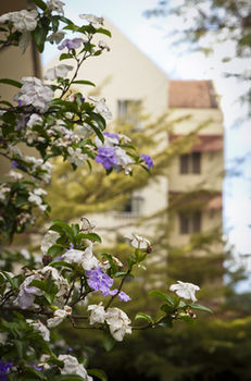 The Arusha Hotel