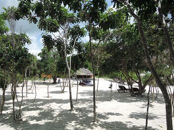 Hotel Ras Michamvi Beach Resort