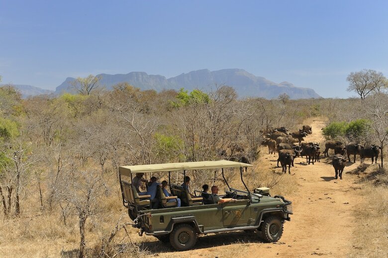 Posada Camp Jabulani