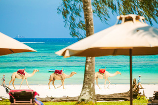 Hotel The Sands At Nomad