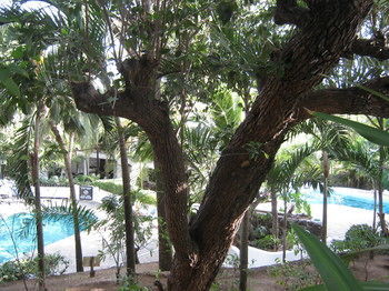 Hotel Scorpio Villas