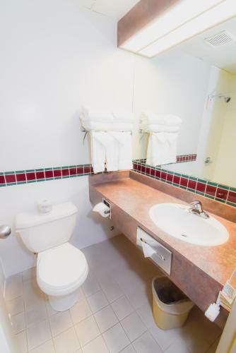 Hotel Canad Inns Destination Centre Windsor Park