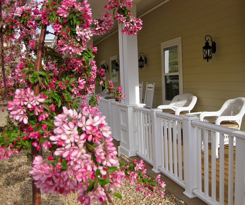 Hotel Wine Country Inn Palisade