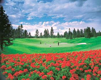 Hotel Best Western Plus Coeur D'alene Inn