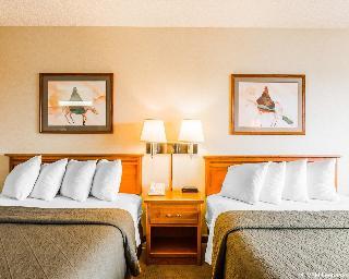 Hotel Quality Inn And Suites