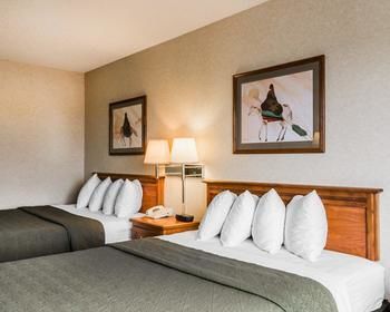 Hotel Quality Inn And Suites