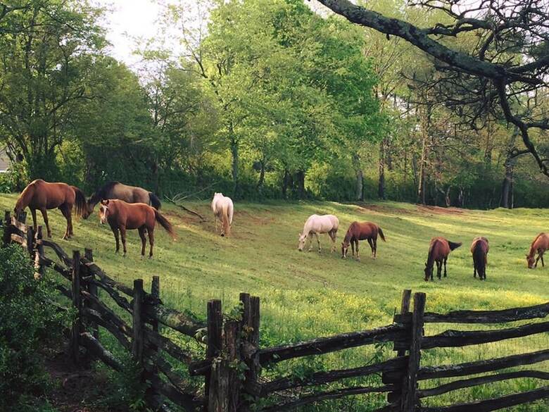 Bed & Breakfast Seventy-four Ranch