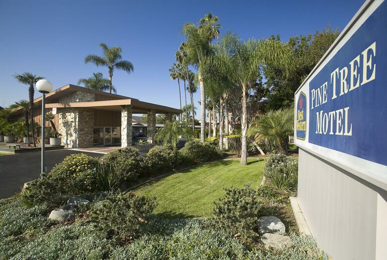 Best Western Pine Tree Motel