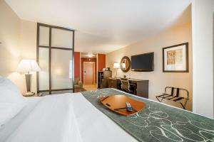 Hotel Comfort Suites Helena