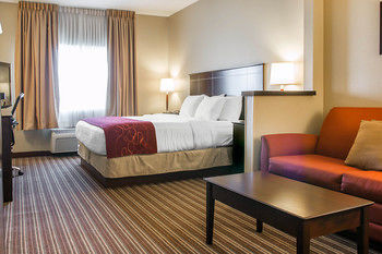 Hotel Comfort Suites Saginaw