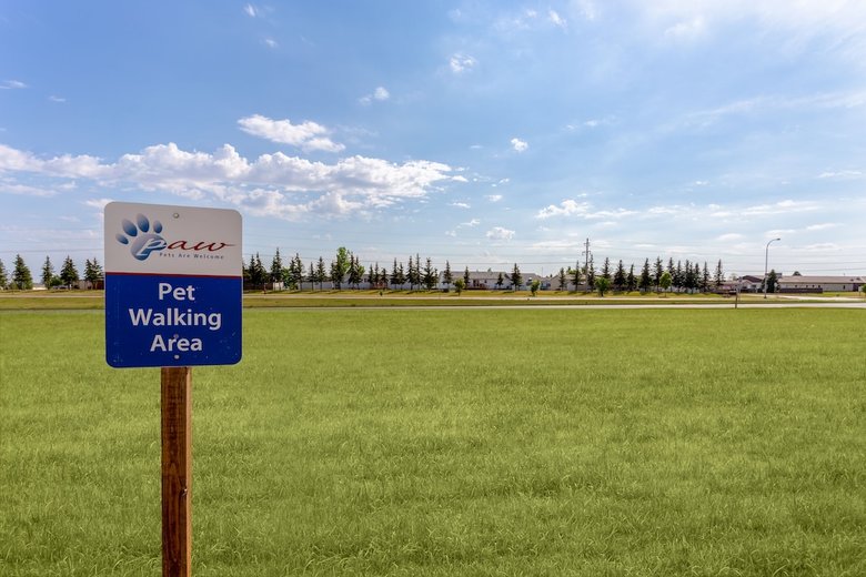 Hotel Candlewood Suites Minot