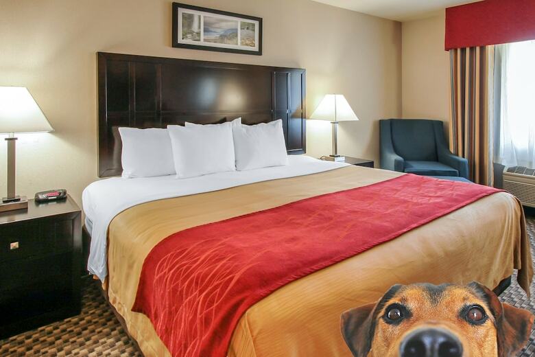 Hotel Comfort Inn Columbia Gorge Gateway