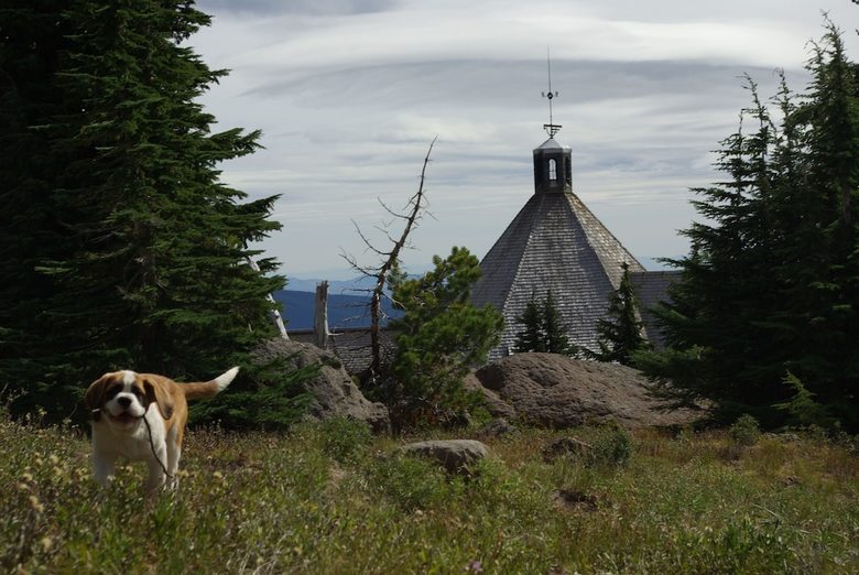 Posada Timberline Lodge