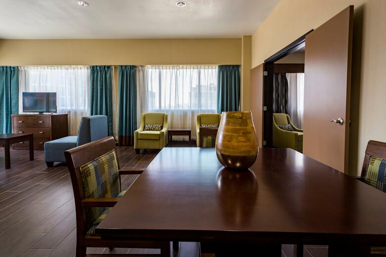 Hotel Holiday Inn Houston Downtown