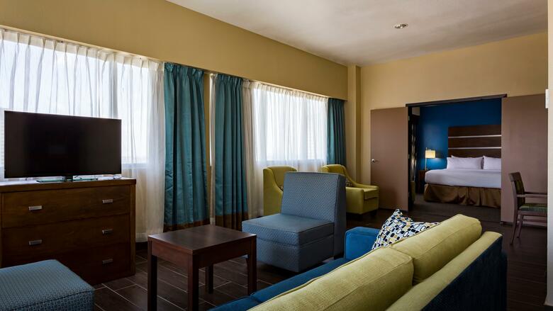 Hotel Holiday Inn Houston Downtown