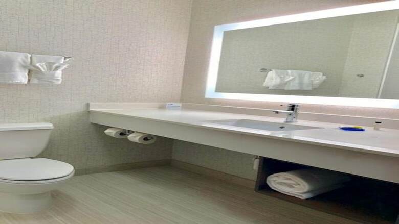 Holiday Inn Express Hotel & Suites Mount Pleasant