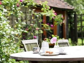 Wilderness B&B