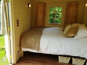 Wilderness B&B
