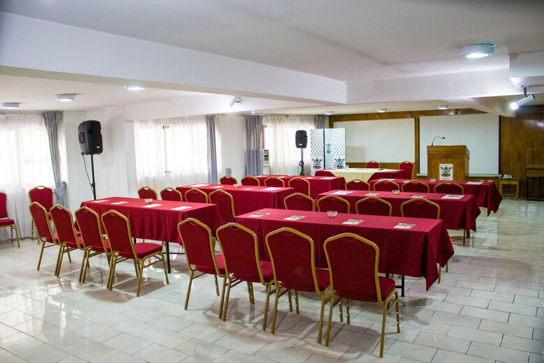 Hotel Windsor Suites