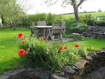 Hotel Rhedyn Guest House