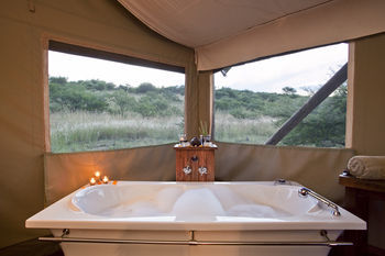 Posada The Springbok Lodge