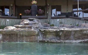 Posada The Springbok Lodge