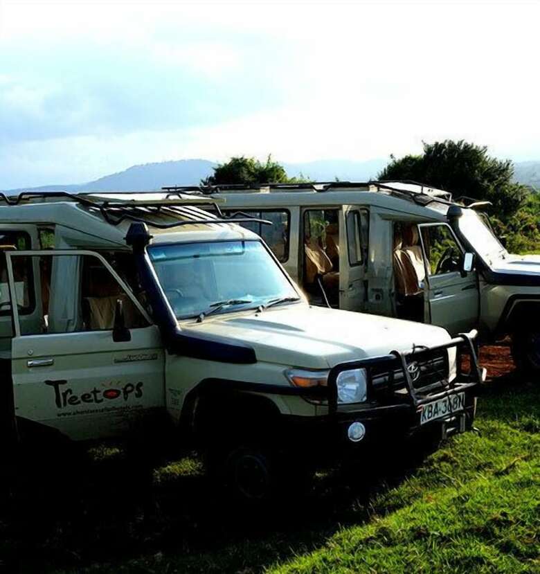 Lodge Treetops