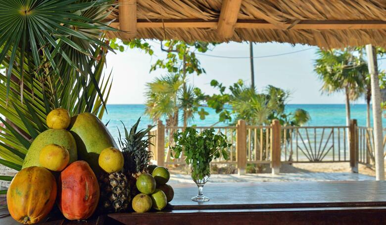 Hotel Melia Jardines Del Rey
