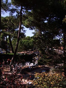 Hotel Palmyr
