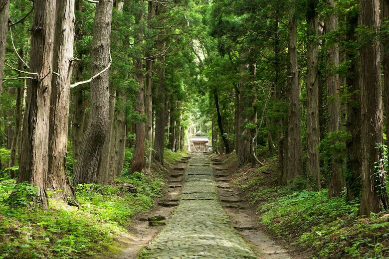 Hotel Inawashiro Shikinosato